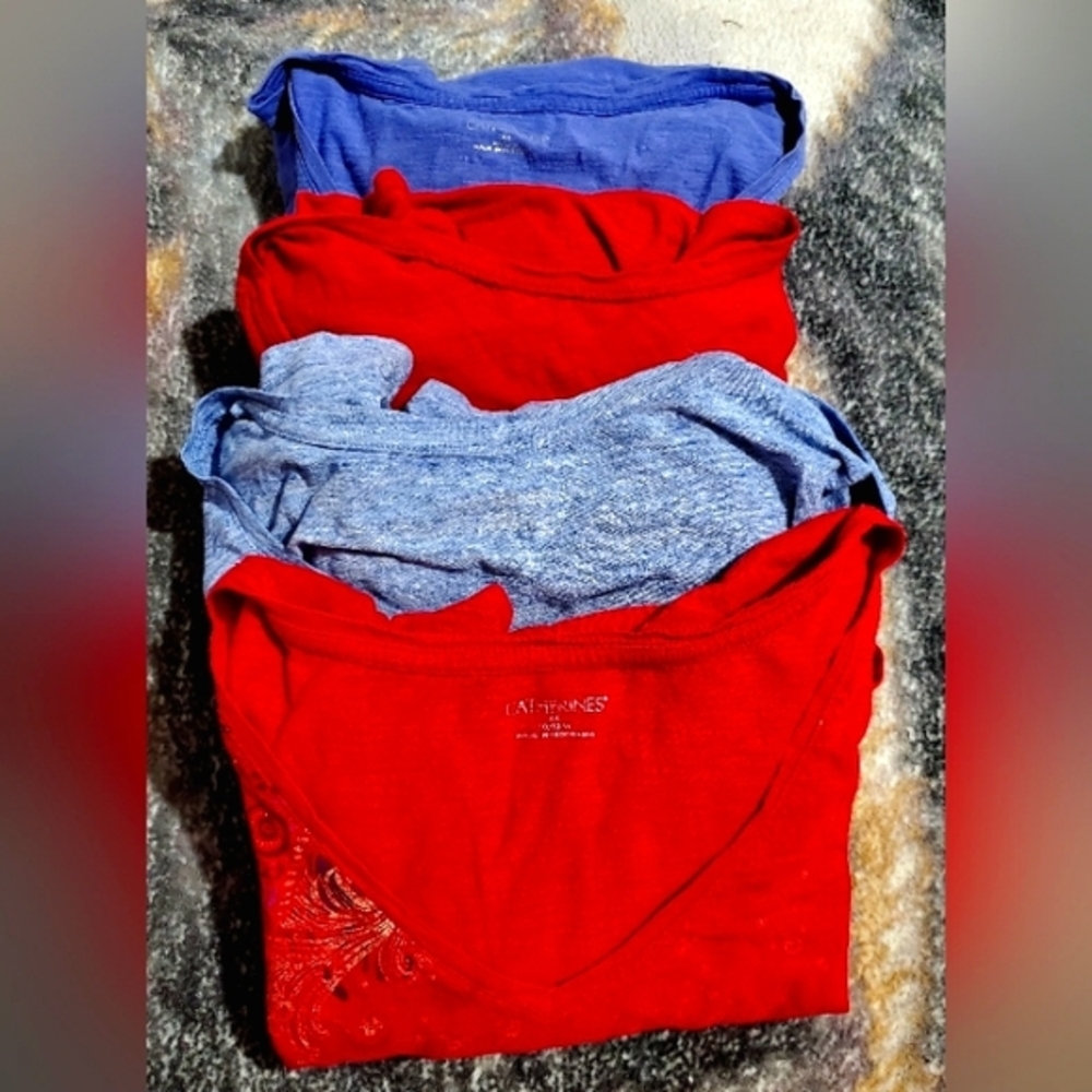 Bundle of 4 Catherine's Women's Perfect Short Sleeve Tees 4X Blue, 2 Red, & Gray